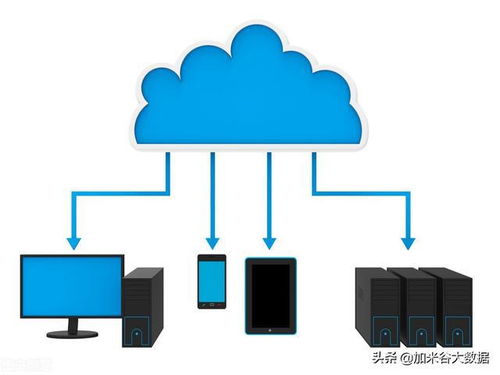 大數(shù)據(jù)的發(fā)展前景 網(wǎng)絡(luò)技術(shù)服務(wù)驅(qū)動(dòng)的未來圖景